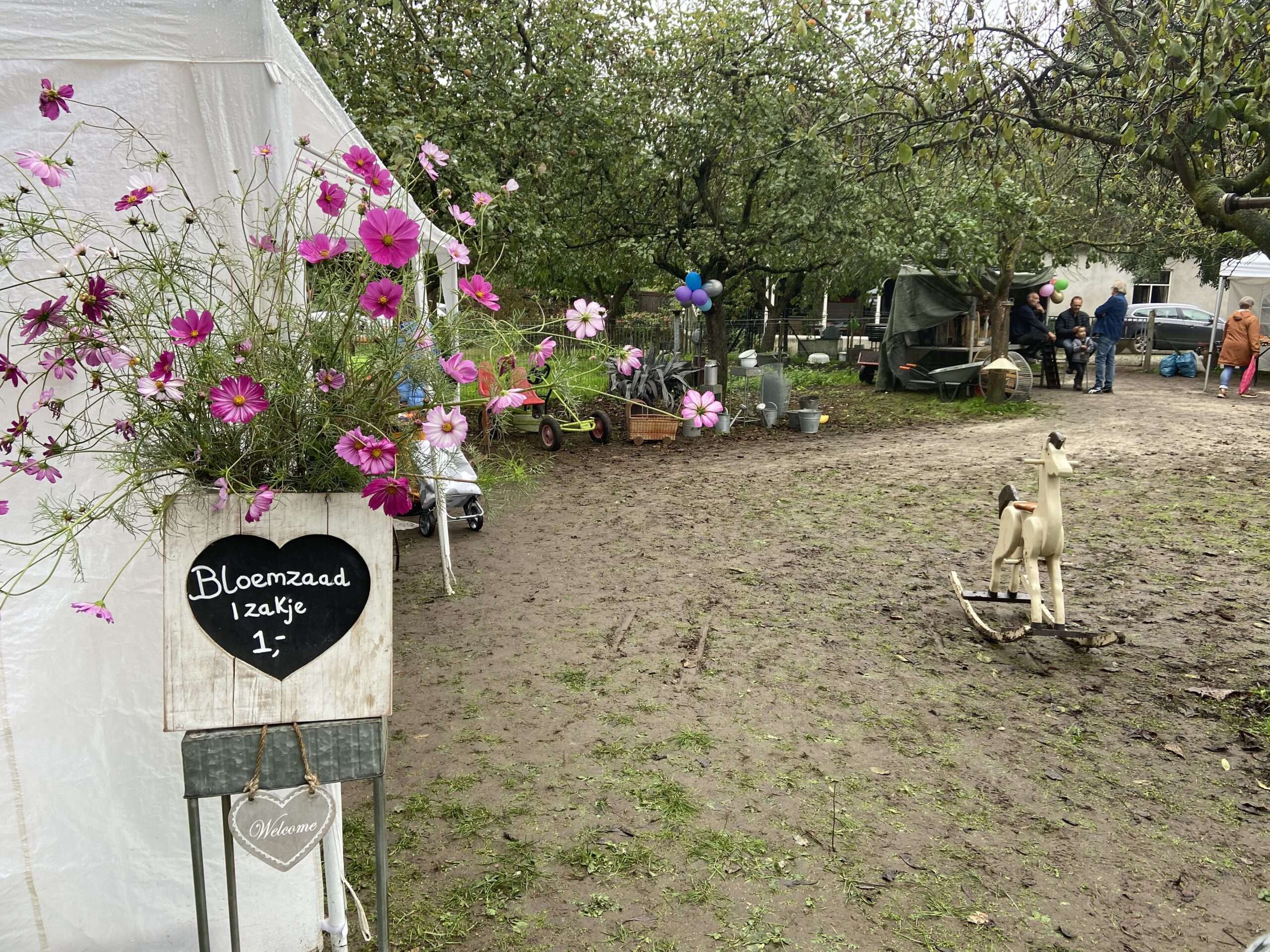 LgOQ9XJTSByzDUaXtcG4Fw-1-scaled