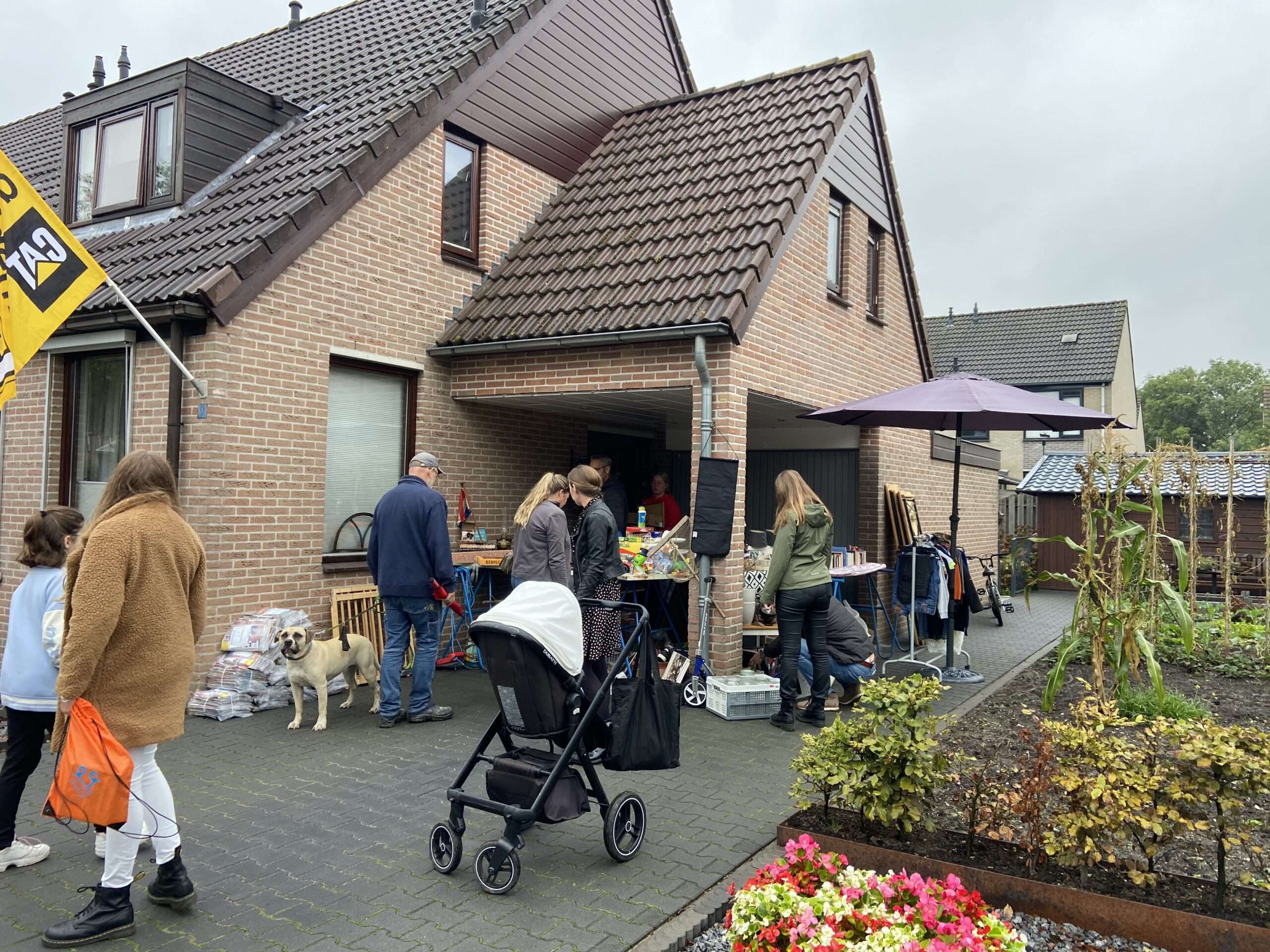 zeoQzjWfTQuYsA82Y8EY2A-scaled